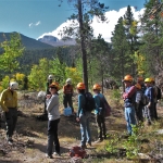 A group of people standing in a forest.