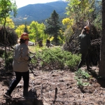 A group of people standing in a wooded area.