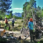 A group of people standing around a fire in the woods.