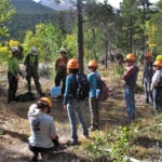 A group of people standing in a wooded area.