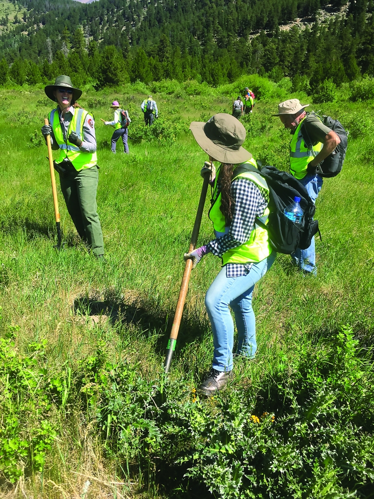 A group of people with shovels in a grassy field.