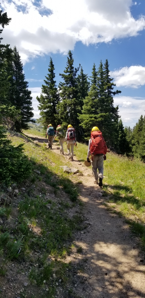 Three hikers with backpacks walking on a dirt trail