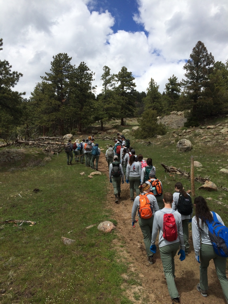 A group of people walking down a trail.