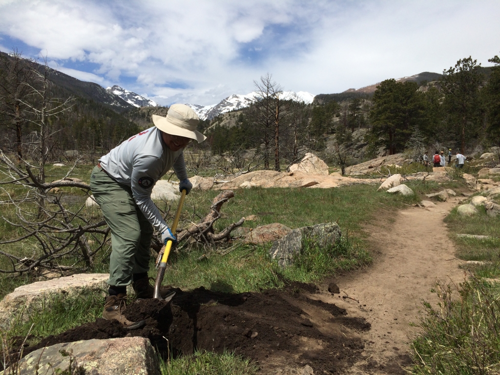 A person digging a hole in the dirt.