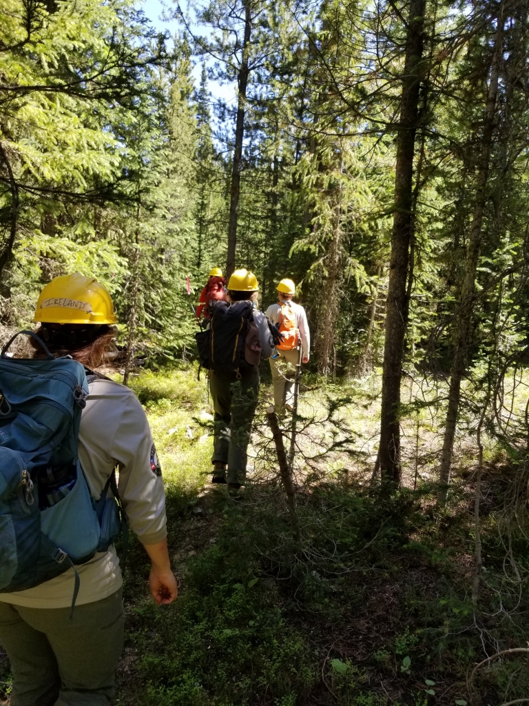 A group of people with backpacks walking through the woods.