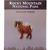 BigHorn Pin Pin of a bighorn sheep from the RMNP North American Wildlife Series, displayed on a card.