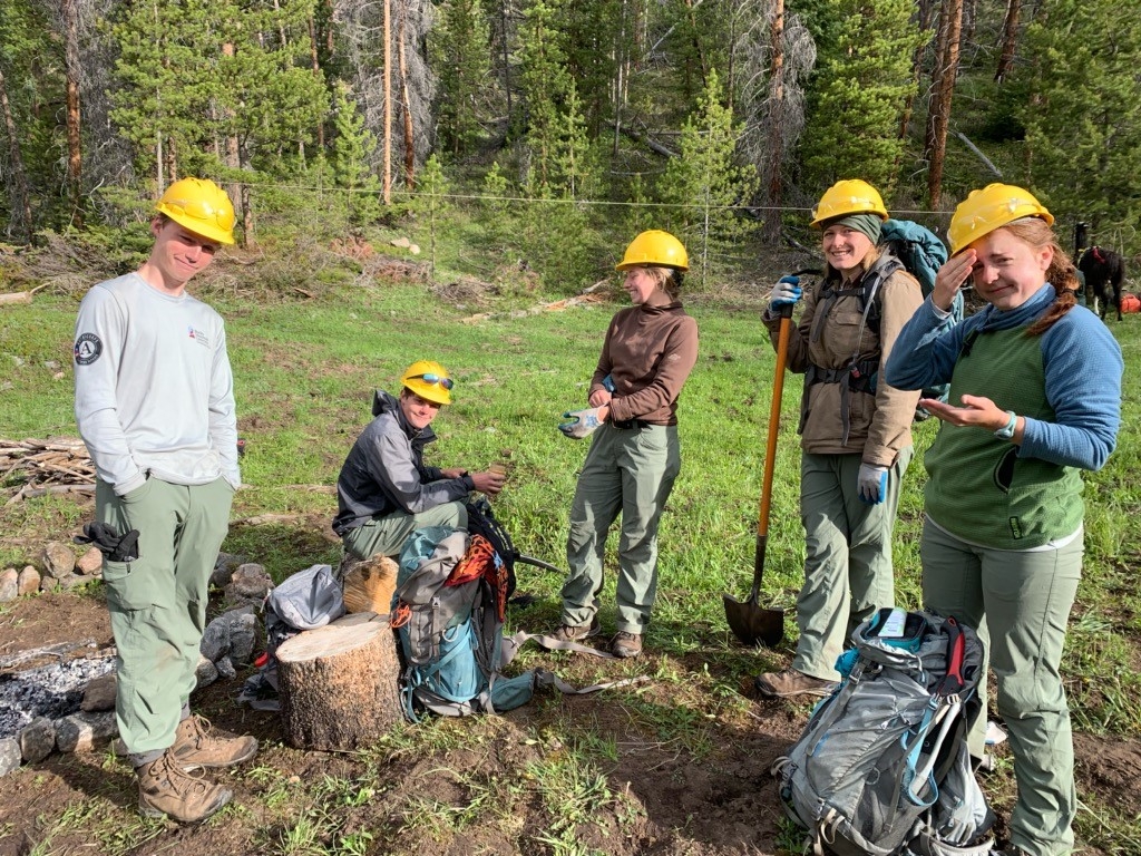 A group of people in hard hats standing in a wooded area.