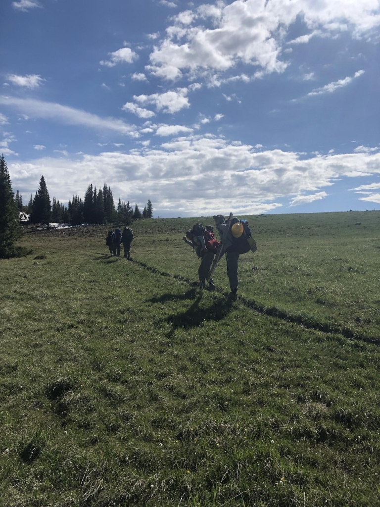 A group of hikers walking through a grassy field.