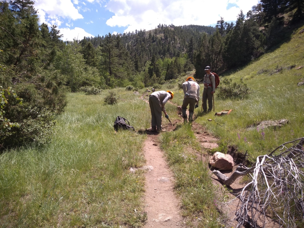 A group of people working on a trail.