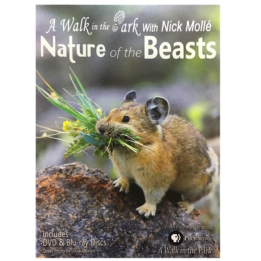 Walk in the Park Sentence with product name: A Walk in the Park with Nick Mollé: Nature of the Beasts DVD.