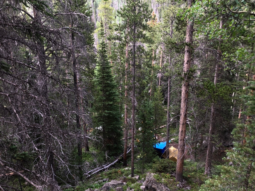A tent in the middle of a wooded area.