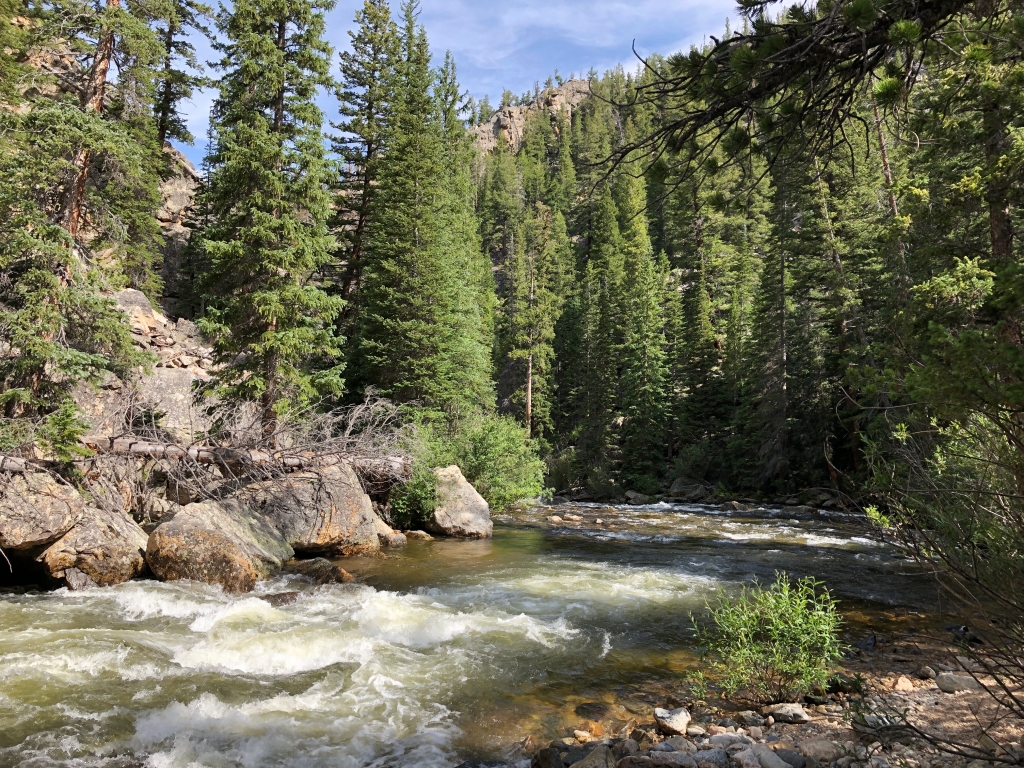 A river flowing through a forest.