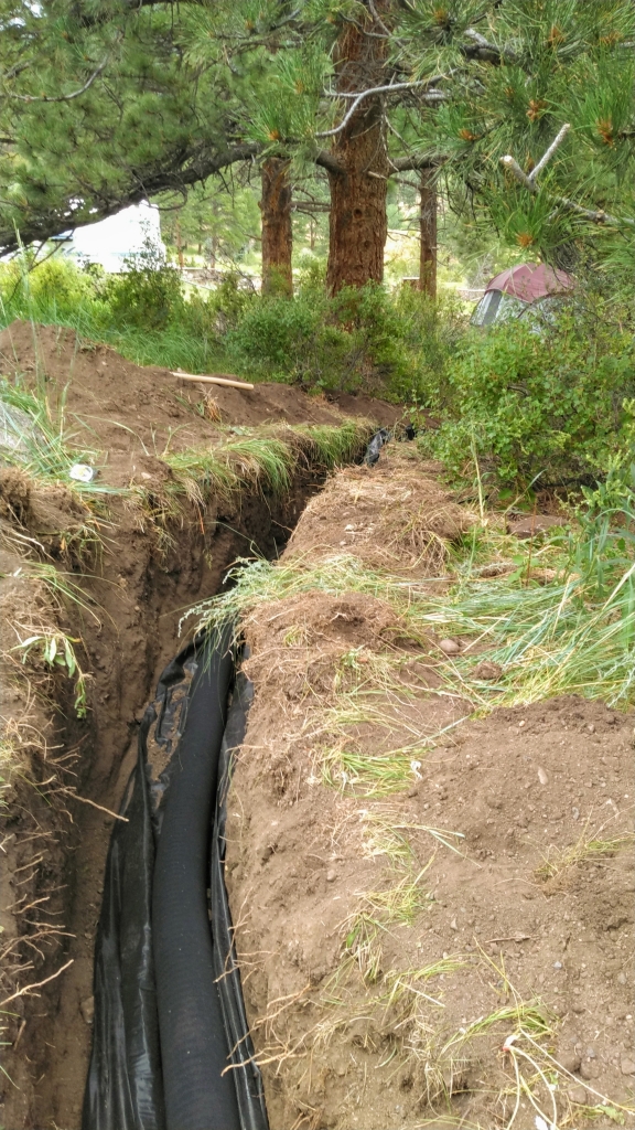 A black pipe in the ground next to a tree.