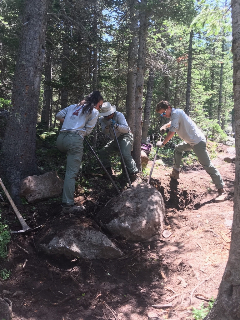 A group of people working on a trail in the woods.