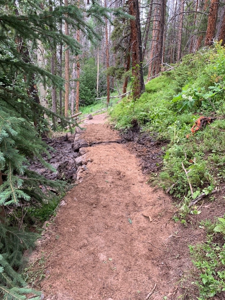 A dirt trail in the woods with trees in the background.