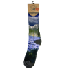 A pair of RMNP Sprague Lake Picture socks.