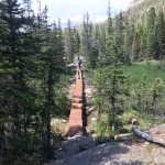 A person is walking across a wooden bridge in a wooded area.