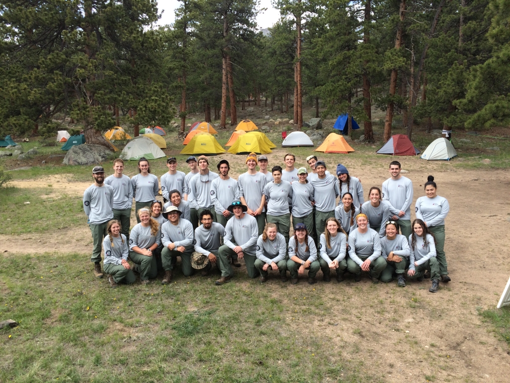 Group of people in matching gray shirts in a forested campsite.