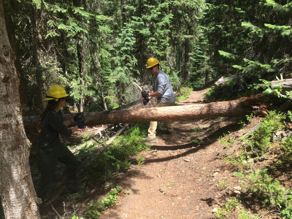 Two people on a trail with a fallen tree.