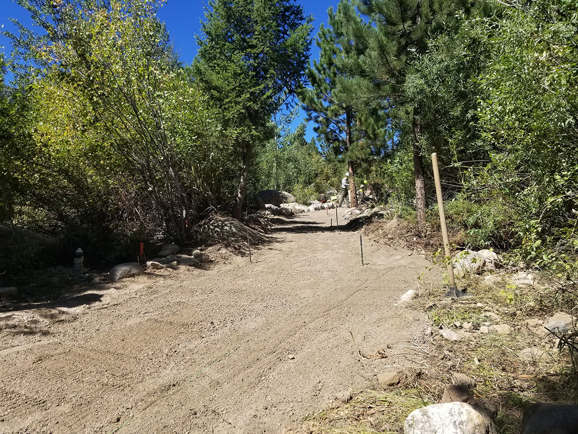 A dirt road in the woods with trees in the background.