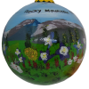 hallet Bulb The Ornament RMNP Glass is a round piece featuring a painted landscape of the Rocky Mountains, showcasing mountains, a green field, and colorful flowers.