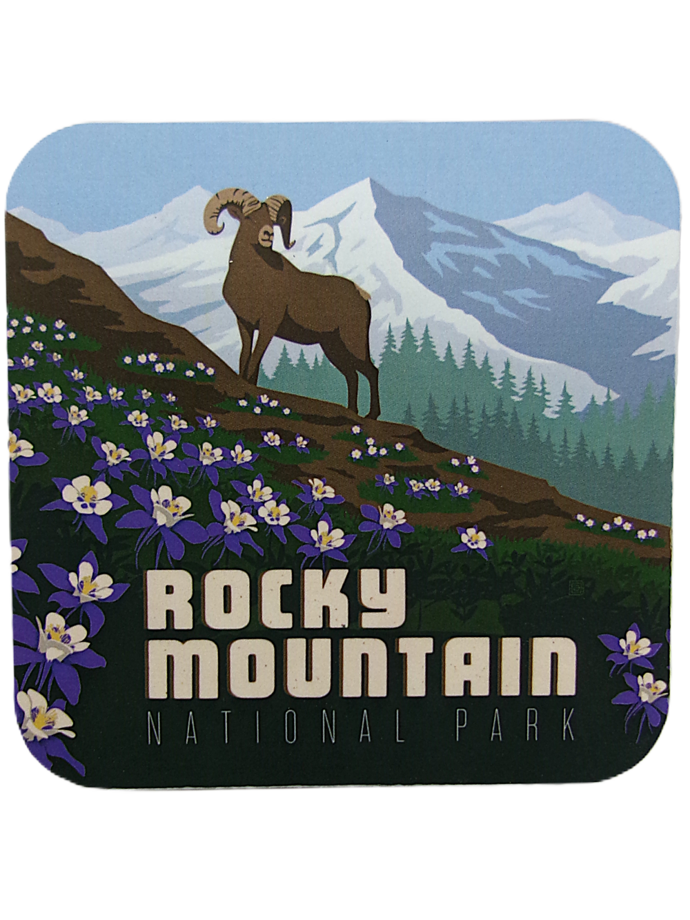Coaster - RMNP Bighorn Columbine displays a bighorn sheep on a hillside with purple flowers, framed by snow-capped mountains.