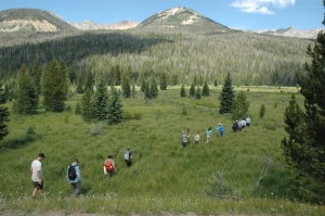 A group of hikers walking through a lush meadow with scattered trees, with mountains in the background under a clear blue sky.