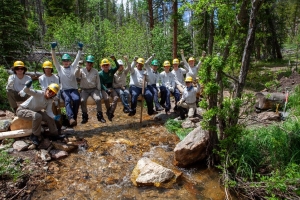 A group of people in work clothes and hard hats sit on a log over a stream in a forested area, raising their arms and cheering.