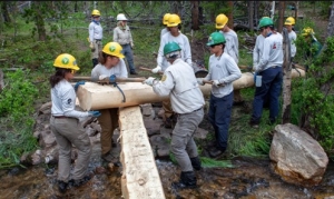 A group of people wearing hard hats and work uniforms are constructing a wooden bridge over a stream in a forested area. They are lifting and positioning large logs.