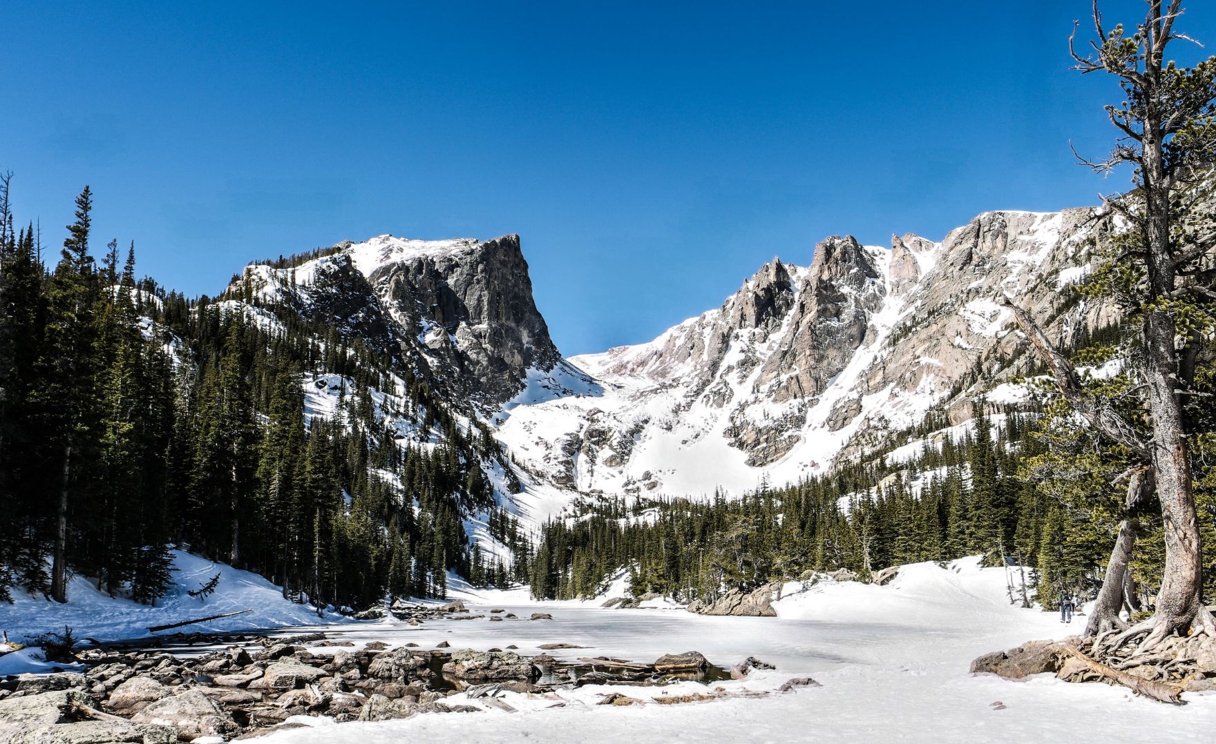 A snowy mountain range under a clear blue sky, with a partially frozen lake in the foreground surrounded by evergreen trees.