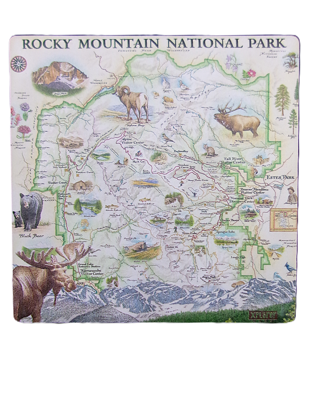 Xplorer Map Coaster