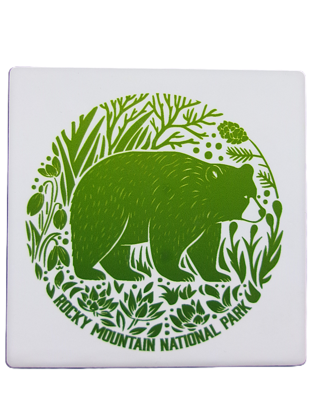 Green illustration of a bear with plants and trees, plus "Rocky Mountain National Park" text on a white background. Product: Coaster - RMNP Bear.