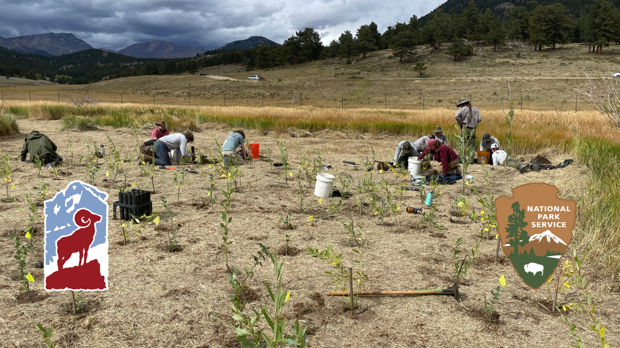 A group of people plants young trees in a grassy field surrounded by mountains. National Park Service and RMC logos are overlaid on the image.