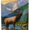 bull elk pump magnet A colorful magnet features a bull elk by a lake with pine trees and mountains, inspired by Rocky Mountain National Park. Text reads, "Rocky Mountain National Park.