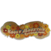 Foil Retro Flower sticker featuring "Rocky Mountain National Park" in bold letters, accented with orange, yellow, and brown flowers on a white background.