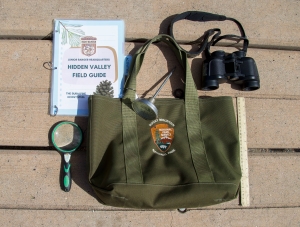 An olive green tote bag, magnifying glasses, binoculars, ruler, and a field guide sit arranged on a wooden surface.